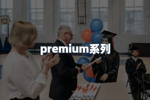 premium系列